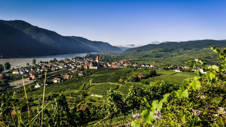 Panorama Weißenkirchen, © Robert Herbst