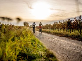 Veltliner-Runde, &copy; POV