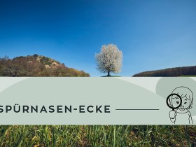 Sp&uuml;rnasenrunden Alland, &copy; Wienerwald Tourismus GmbH / Andreas Hofer