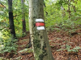 Markierung wei&szlig;/rot/wei&szlig;, &copy; Wienerwald