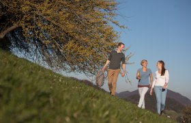 Wandern zur Dirndlblüte, © schwarz-koenig.at