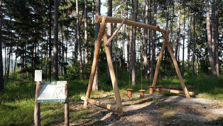 Holzgerät im Wald mit Infotafel im Heilwald Göttweig.