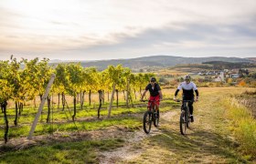 Weinberg-Strecke, &copy; POV