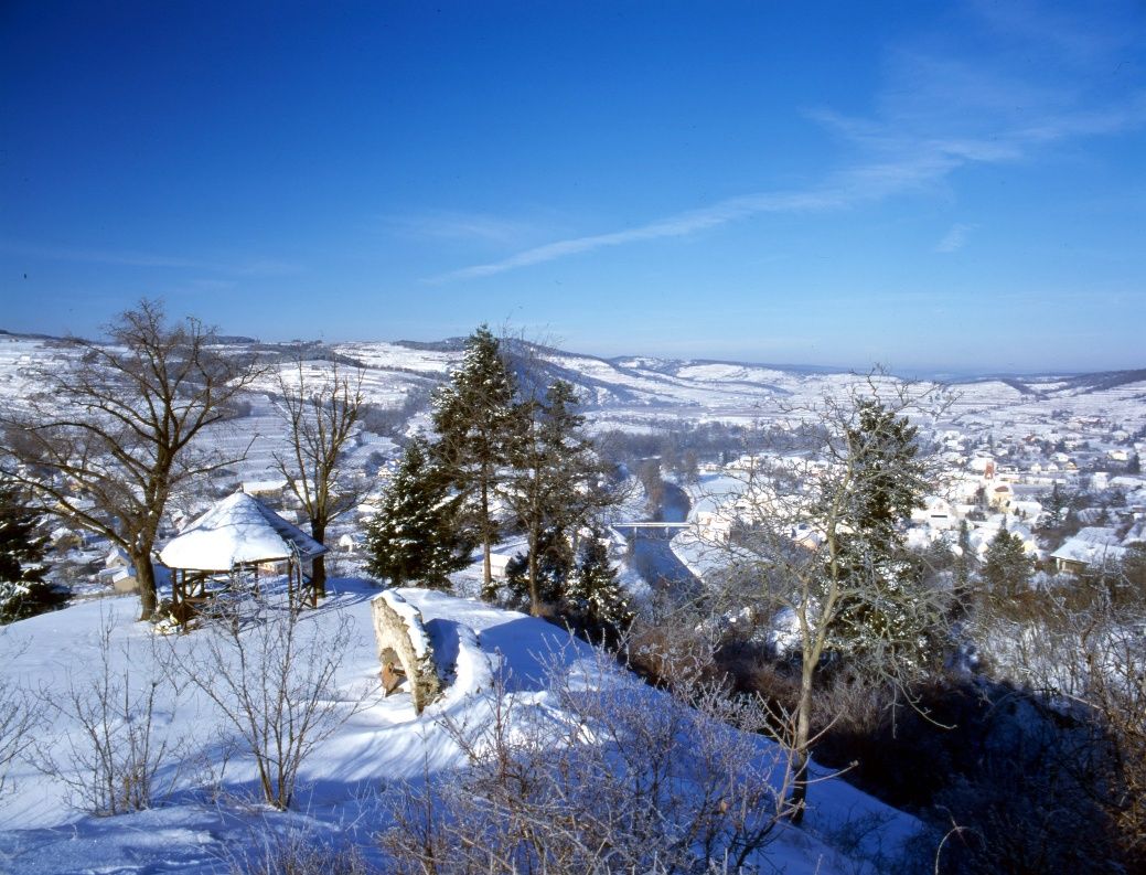 Ruine Schonenburg - Schlossbergweg 