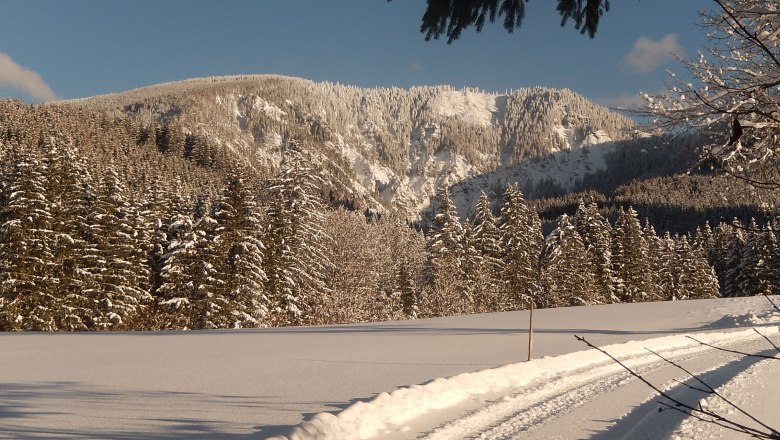 Langlaufen vor der Haustüre, © Karin Redlsteiner Langlaufen vor der Haustüre, © Karin Redlsteiner
