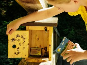 Stempelbox am Weg, © Martina Siebenhandl