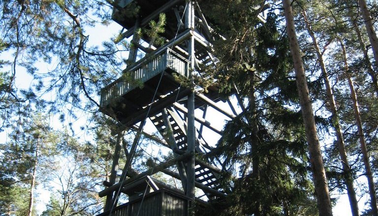 Holzturm im Wald mit mehreren Plattformen und Treppen.