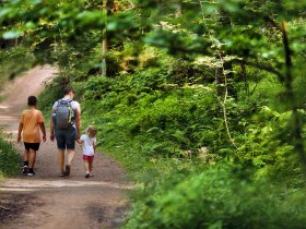 Ein harmonischer Spaziergang durch die &uuml;ppige Natur, wo Kinder fr&ouml;hlich die Hand ihrer Eltern halten. Die sanften Lichtstrahlen durchdringen das gr&uuml;ne Bl&auml;tterdach und schaffen eine einladende Atmosph&auml;re f&uuml;r Familienausfl&uuml;ge.