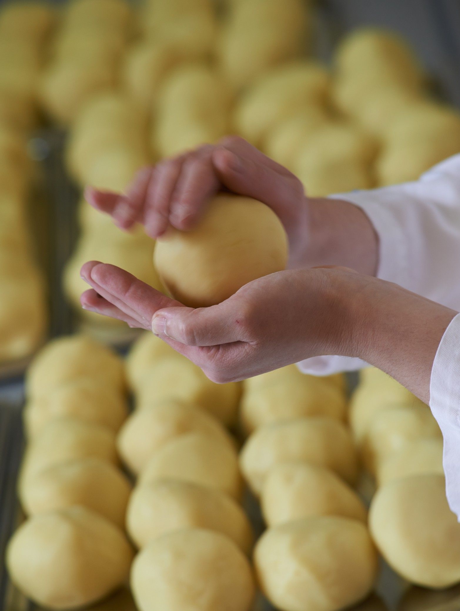 Person formt Teigkugel mit Händen, im Hintergrund weitere Teigkugeln.
