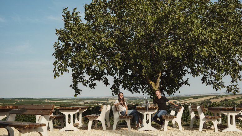 Zwei Personen sitzen an einem Tisch unter einem Baum mit Blick auf eine weite Landschaft.