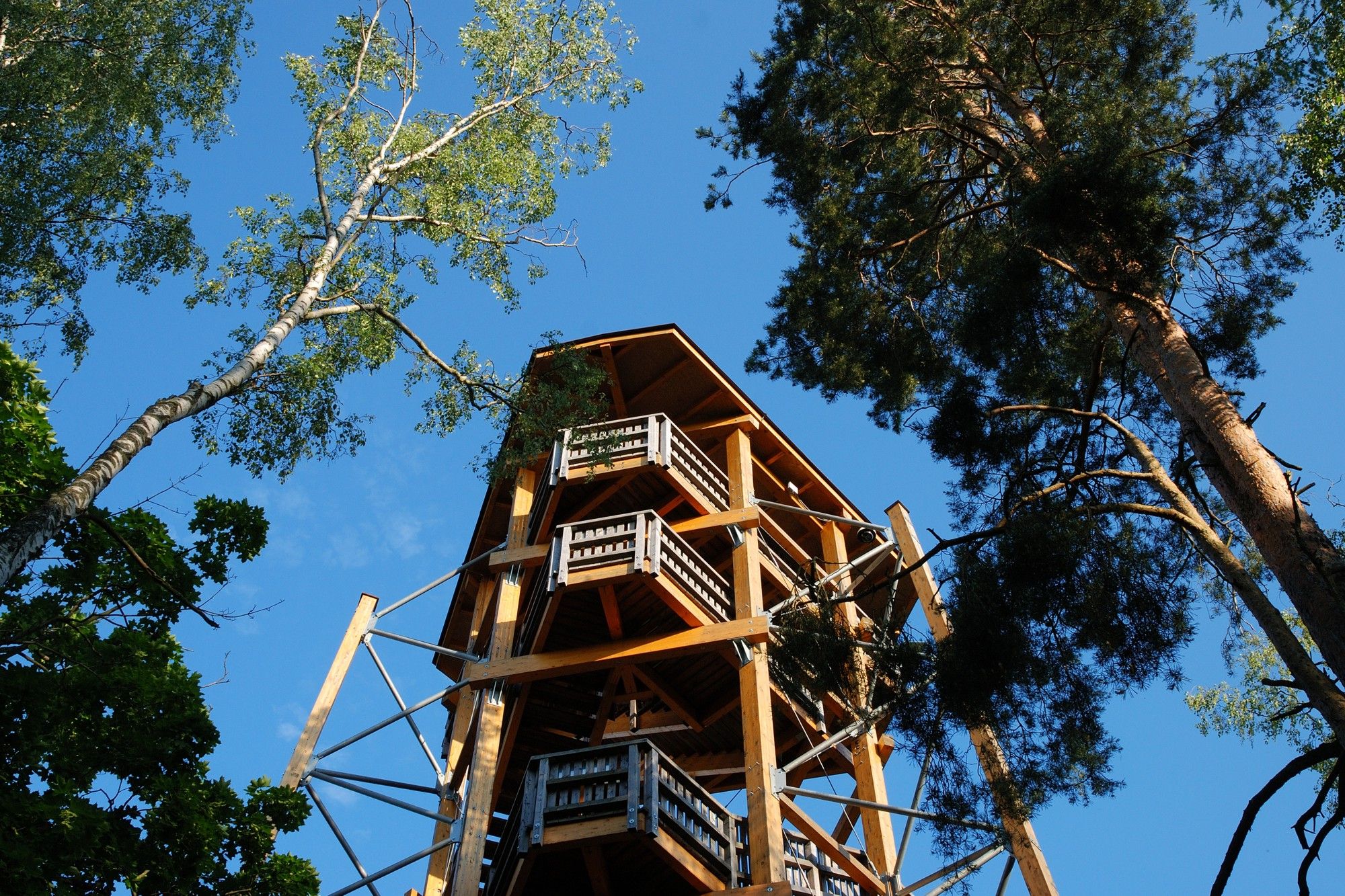 Holzaussichtsturm in einem Wald, umgeben von hohen Bäumen, unter blauem Himmel.