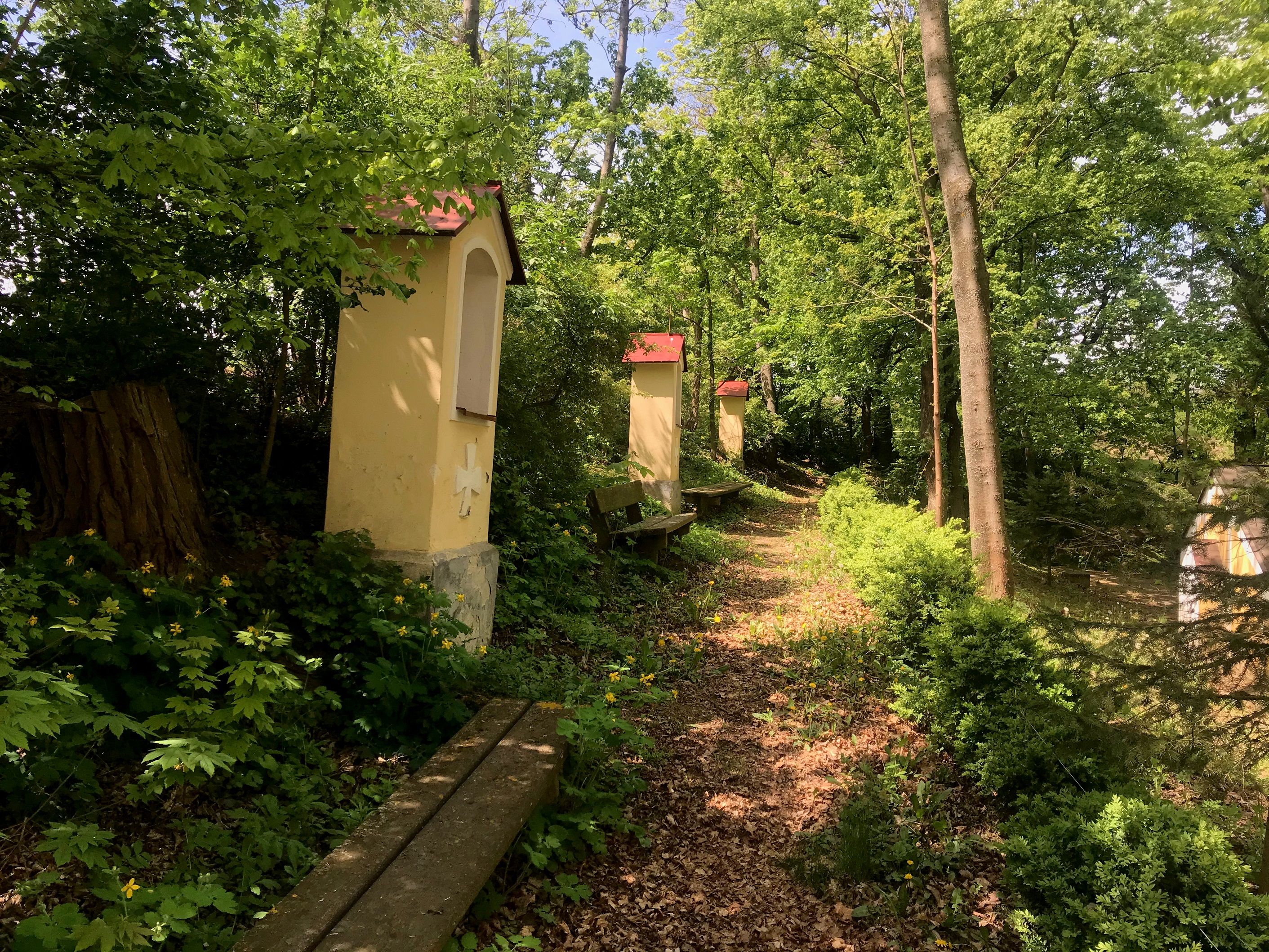 Ein schmaler Waldweg mit kleinen Kapellen und Bänken, umgeben von grünen Bäumen und Pflanzen.