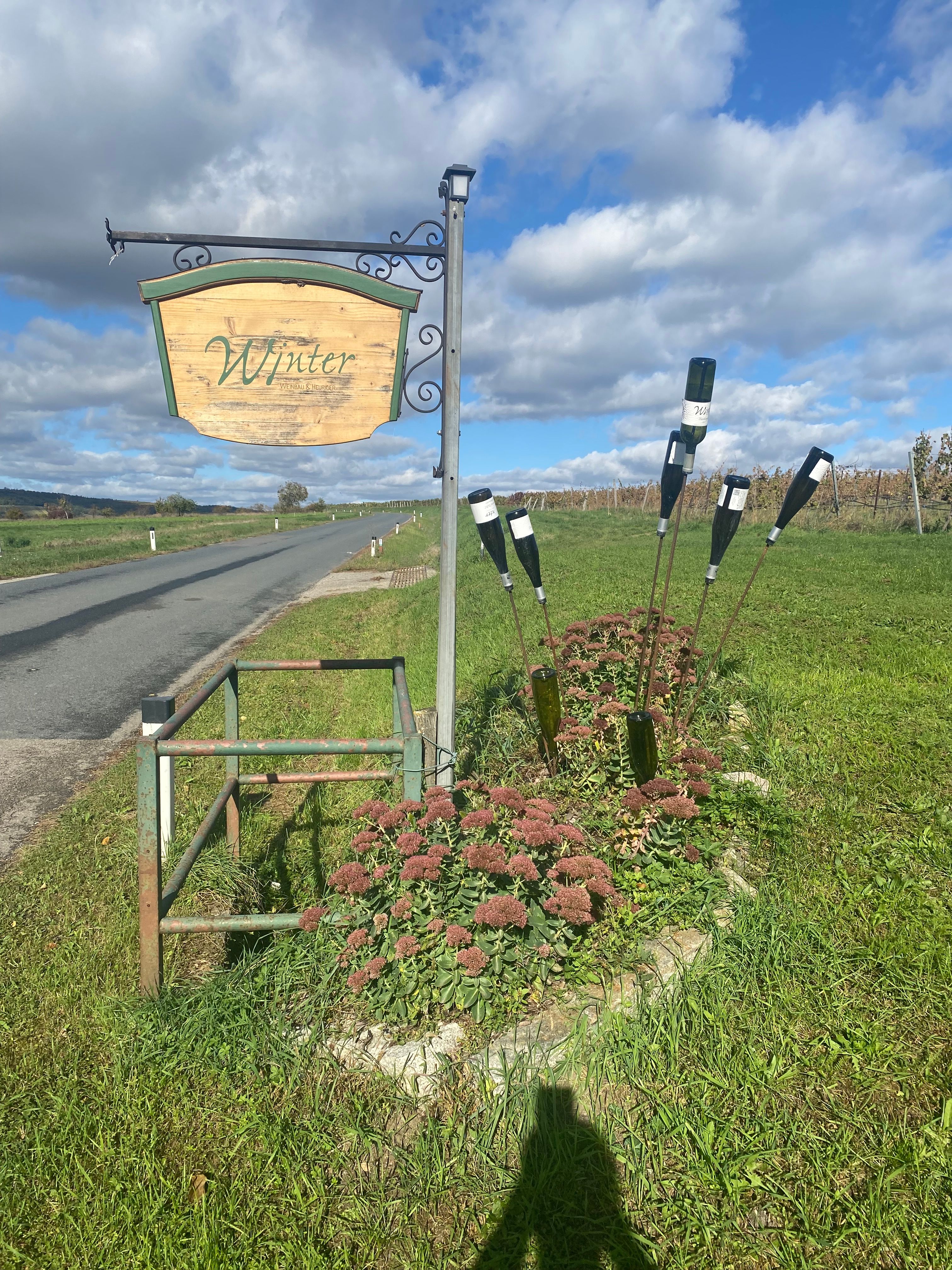 Ein Holzschild mit der Aufschrift 'Winter' steht am Straßenrand neben einer Wiese mit Blumen und Flaschen als Dekoration.