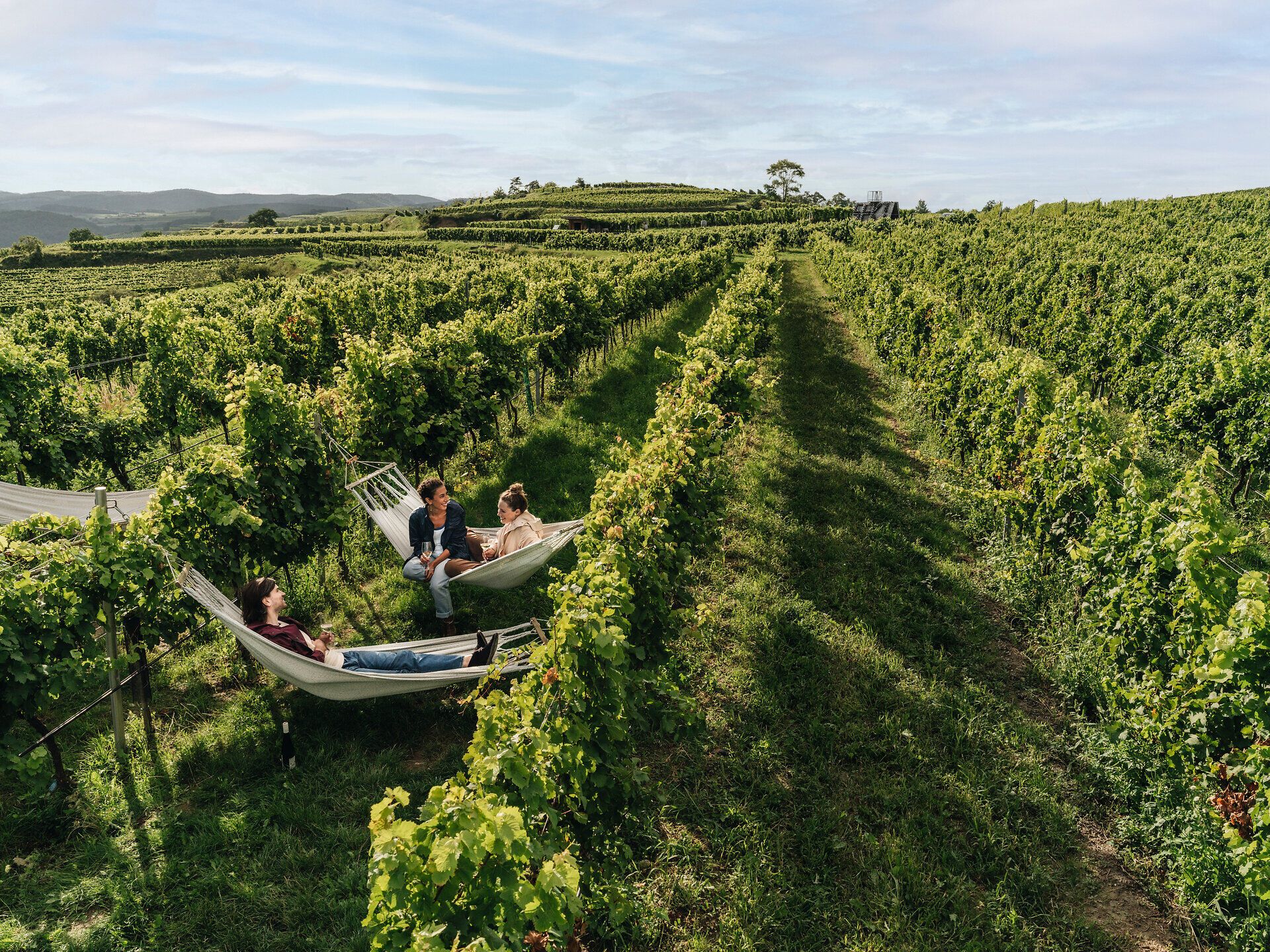 Inmitten der sanften Hügel des Waldviertels laden gemütliche Hängematten dazu ein, die Seele baumeln zu lassen. Umgeben von üppigen Weinreben und dem Duft des Sommers, genießen die Besucher die friedliche Atmosphäre und die malerische Landschaft. Ein perfekter Ort, um die Schönheit der Natur und die Köstlichkeiten der Region zu erleben.