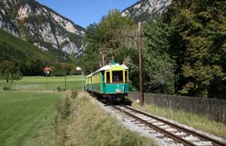 Grün-gelber Schmalspurtriebwagen fährt durch eine Wiesenlandschaft mit Bergen im Hintergrund.