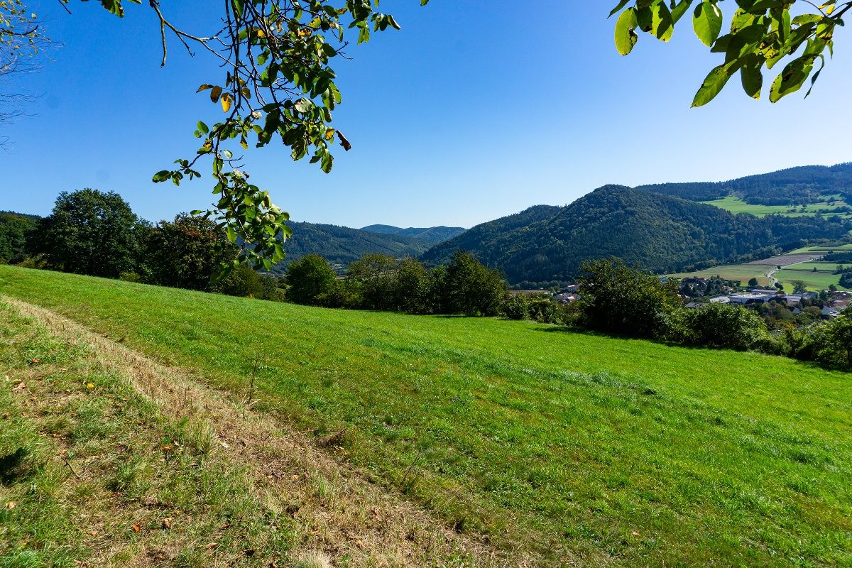 Blick von Station 1 auf Pöggstall