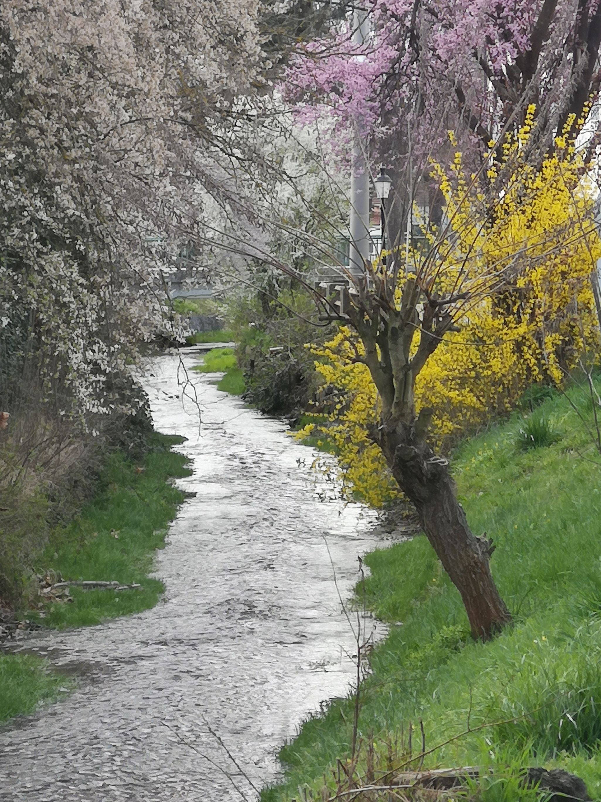 Am Gschinzbach