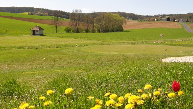 Golfplatz mit Blumen im Vordergrund und Flagge auf dem Gr&uuml;n.