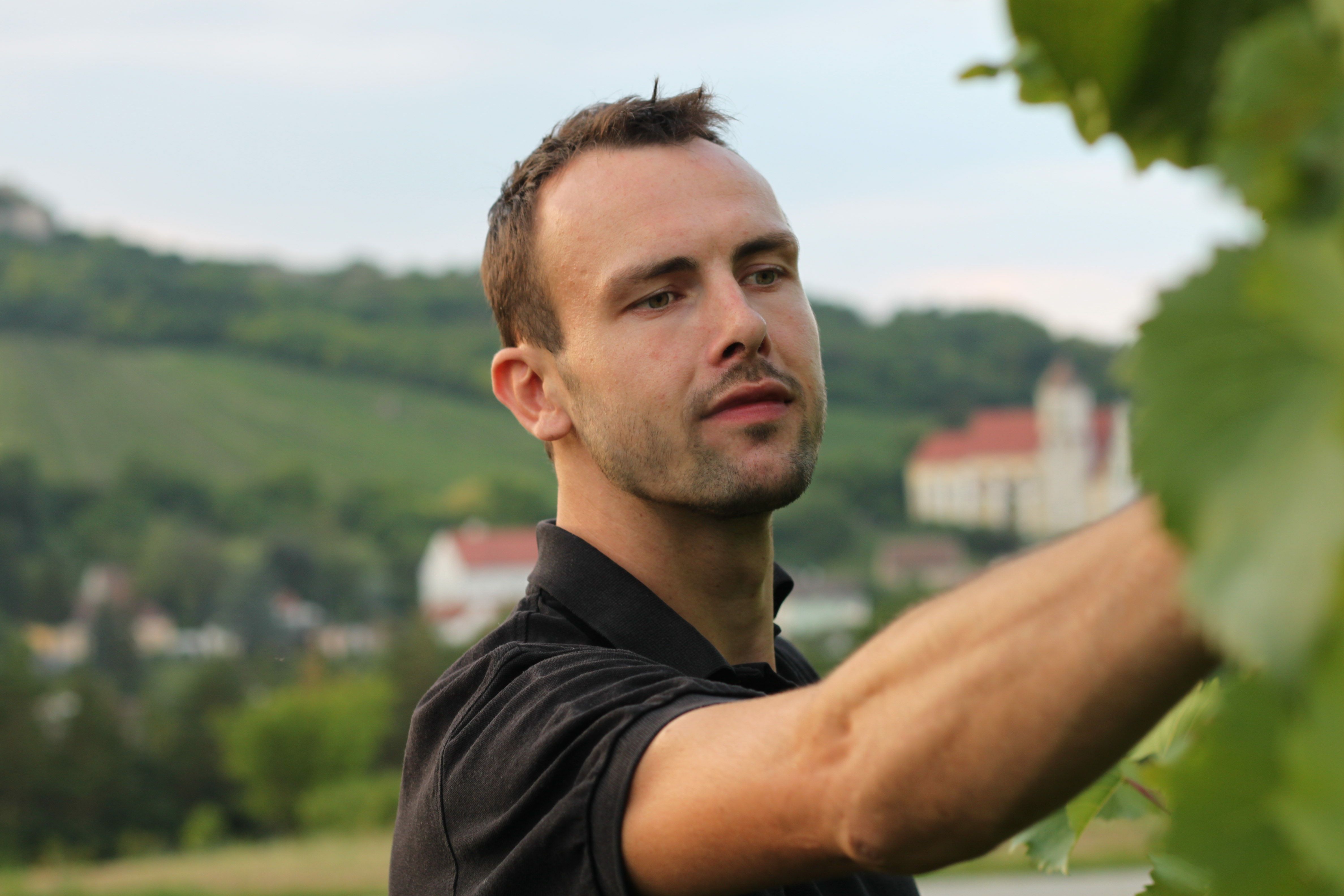 Ein Mann in einem Weinberg, der Trauben inspiziert, mit einer malerischen Landschaft im Hintergrund.