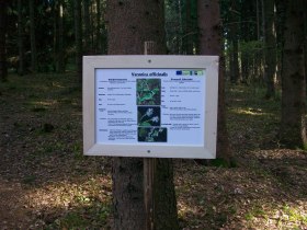 Wildkr&auml;uterlehrpfad mit Schritteweg, &copy; Marktgemeinde Bad Gro&szlig;pertholz