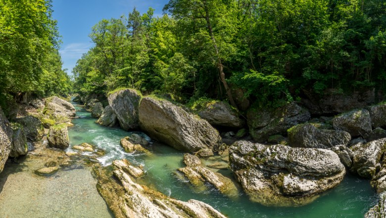 Panoramablick auf die Erlaufschlucht mit türkisfarbenem Fluss und großen Felsen, umgeben von dichtem Wald.