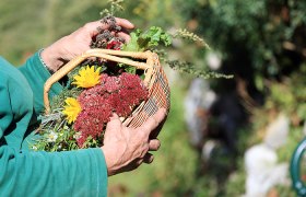 Person h&auml;lt einen Korb mit bunten Blumen und Kr&auml;utern im Garten.