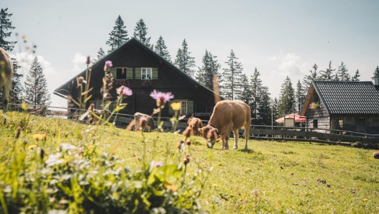 Kitzh&uuml;tte, &copy; Gerald Demolsky