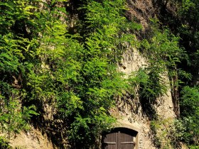 Eine versteckte Holzt&uuml;r, umgeben von &uuml;ppigem Gr&uuml;n, l&auml;dt zu Entdeckungen in der Natur ein. Die sanften H&uuml;gel und das Spiel von Licht und Schatten schaffen eine harmonische Atmosph&auml;re, die zum Verweilen einl&auml;dt.