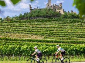 Vorbei an der Ruine Senftenberg, &copy; Donau N&Ouml;/Mara Hohla