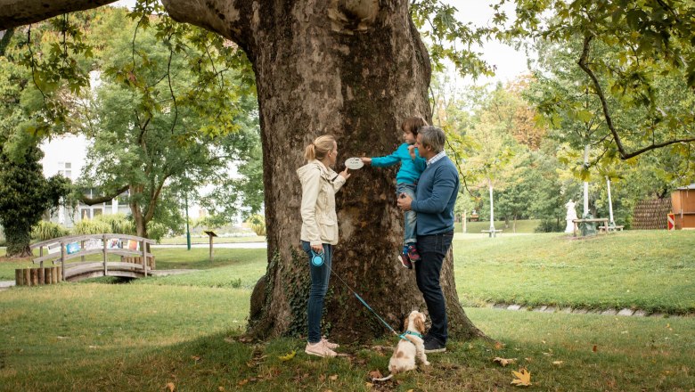 Schlosspark Bad V&ouml;slau, &copy; Silke Ebster