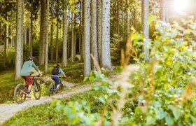 Heidstübl-Strecke, © Wiener Alpen in Niederösterreich