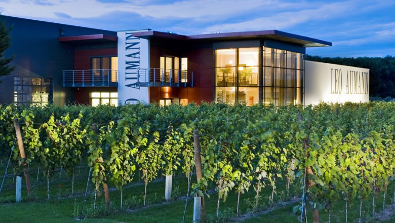 Weingut Leo Aumann bei Dämmerung mit beleuchtetem Gebäude und Weinreben im Vordergrund.