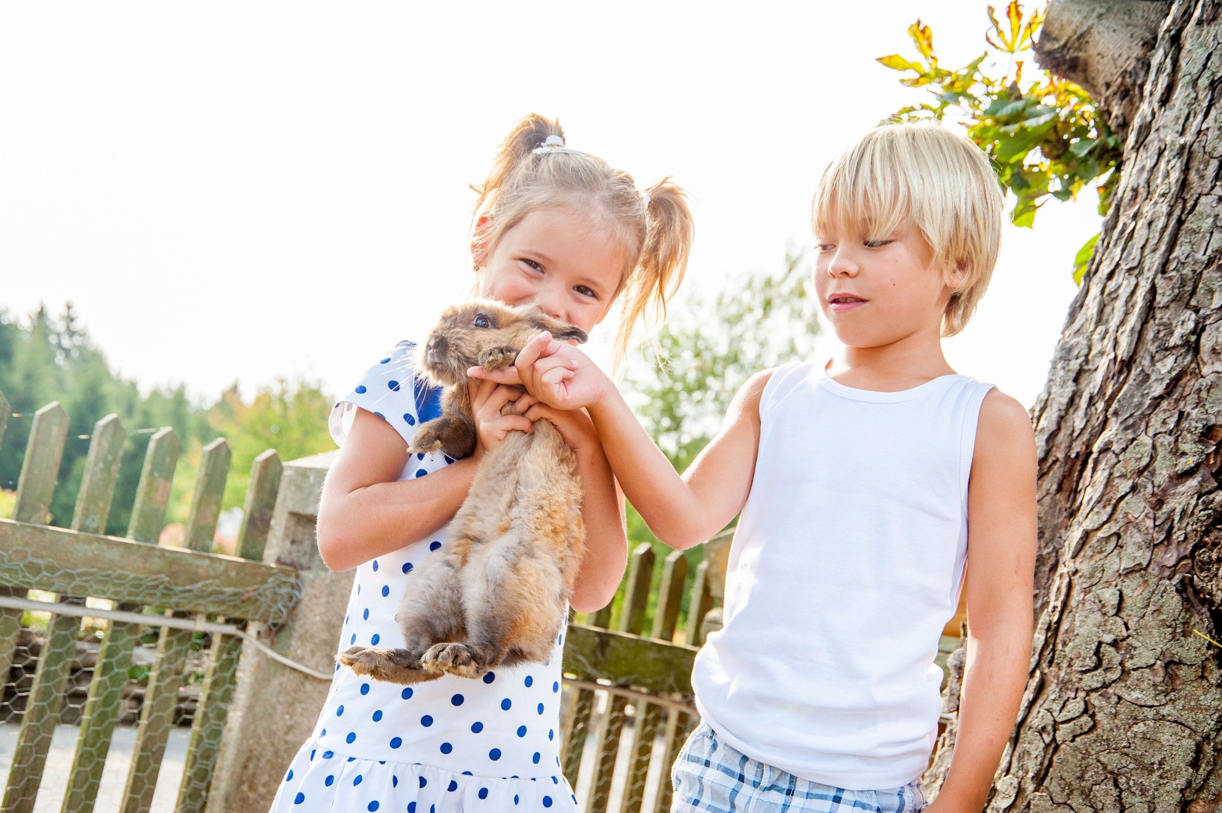 Zwei Kinder halten ein Kaninchen im Freien neben einem Baum.