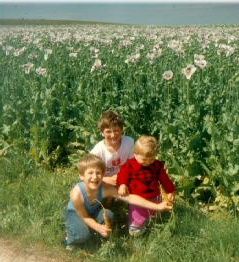 Demeterhof Rockenbauer, &copy; Demeterhof Rockebauer