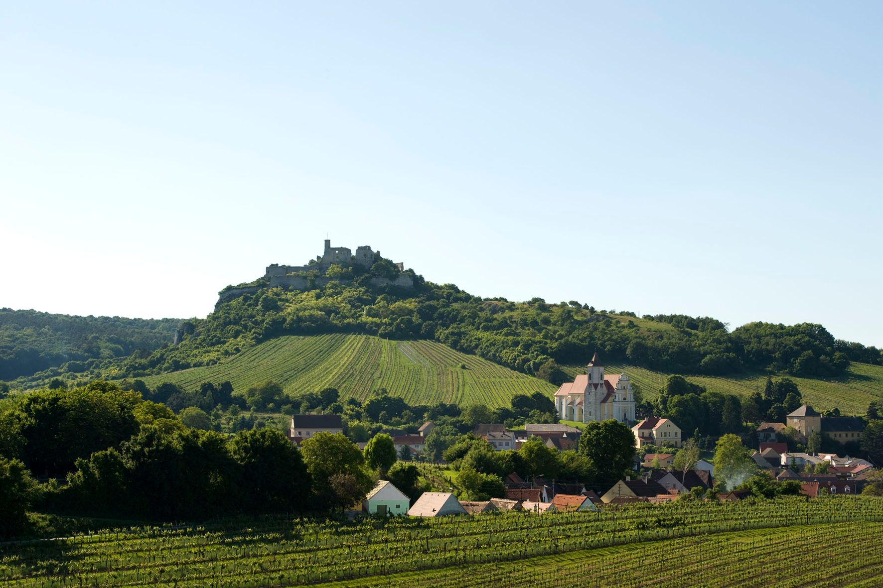 Landschaft mit Burg auf einem Hügel, Weinberge und Dorf im Vordergrund.