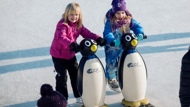 Kunsteislaufplatz Herzogenburg, &copy; Egon Fischer
