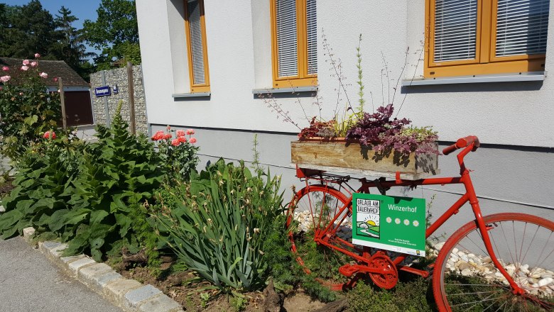 Ein rotes Fahrrad mit Blumenkasten steht vor einem Geb&auml;ude mit Garten.