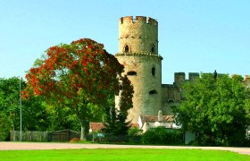 Ein mittelalterlicher Turm der Laaer Burg mit einem Baum im Vordergrund.