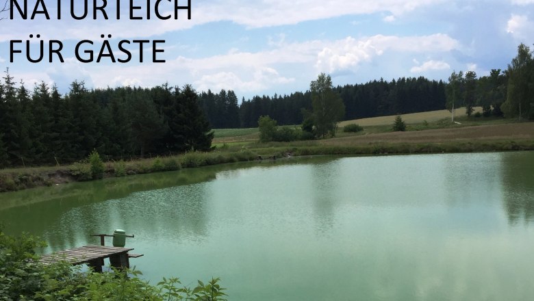 2-naturteich, &copy; Karl Kaufmann