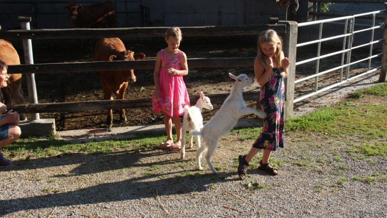 Vorsicht die Ziegen sind ziemlich verspielt!, © zVg. Biohof Besenbäck
