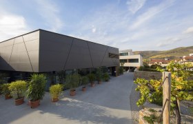 Weinlodge umgeben von Weingärten, © Weinlodge Siedler