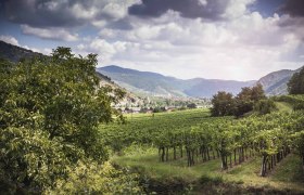 Weinberge und Landschaft in Rossatz-Arnsdorf, umgeben von H&uuml;geln und Wolken.