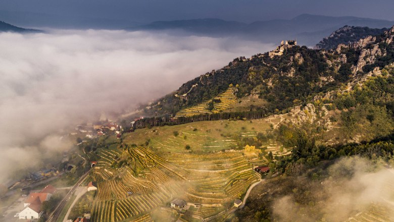 Ruine D&uuml;rnstein in der Herbstlandschaft, &copy; Robert Herbst