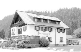 Ein traditionelles Gasthaus mit der Aufschrift 'Forellenhof Schiefer' vor einem Waldhintergrund.