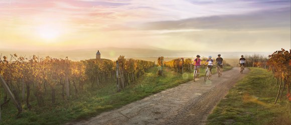 M&auml;hrische Weinradwege, &copy; S&uuml;dm&auml;hren Tourismus