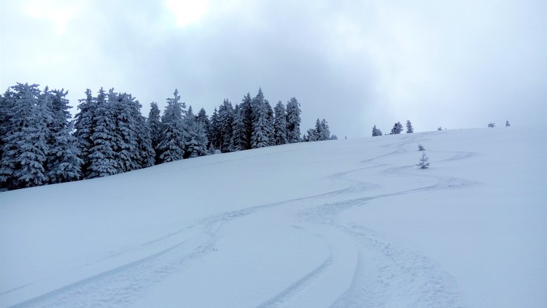 Frische Spuren im Powder, &copy; Mostviertel Tourismus