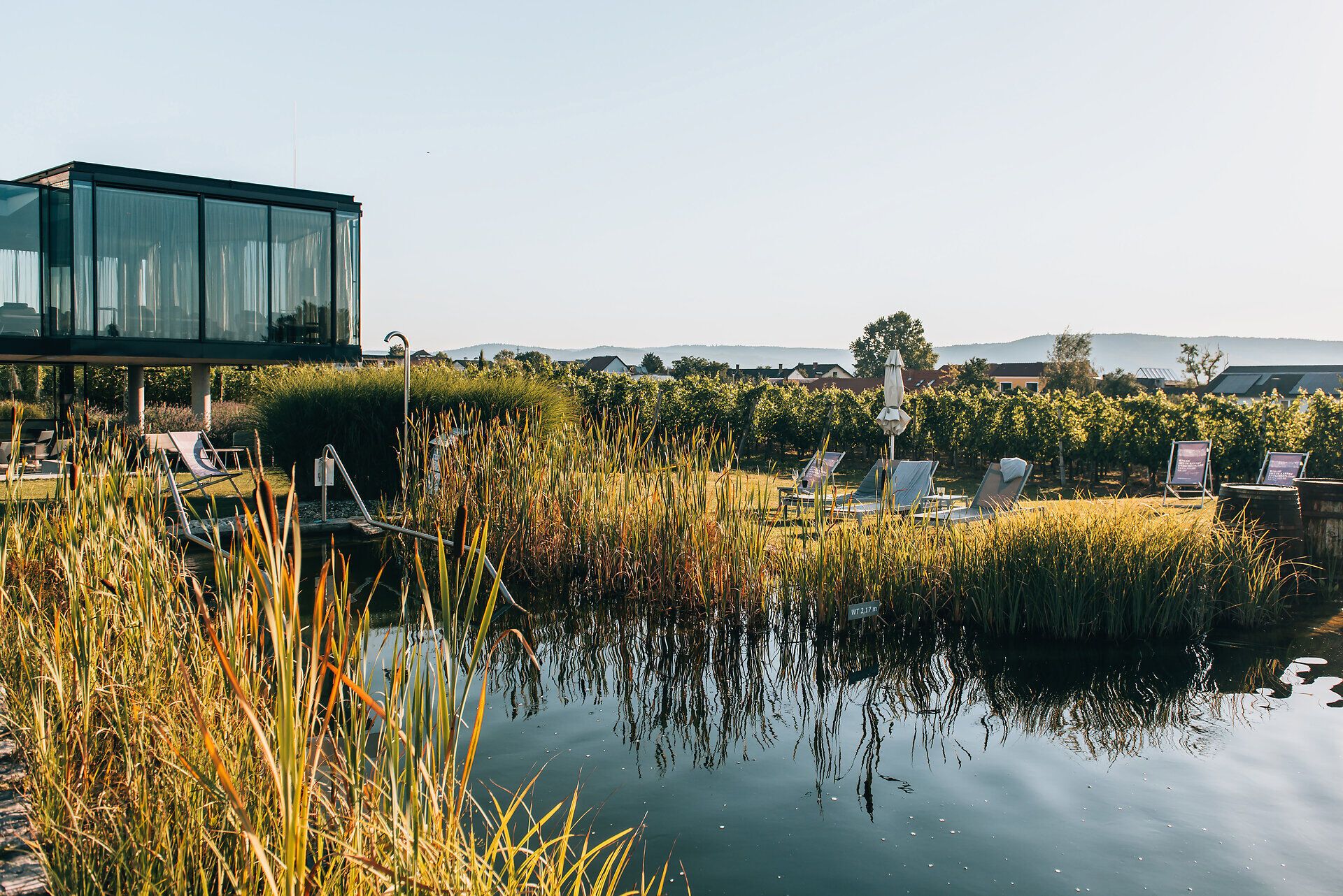 Außenbereich des LOISIUM Wine & Spa Resort Langenlois im Kamptal mit Naturbadeteich, Relaxliegen und Blick auf die umliegenden Weingärten.