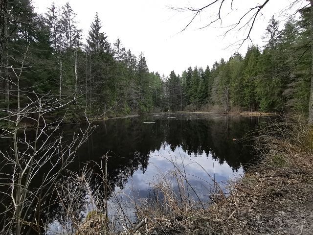 Schwarzes Teichtl