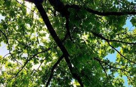 aussenchaletauenblick_c_chaletauenblick, &copy; test