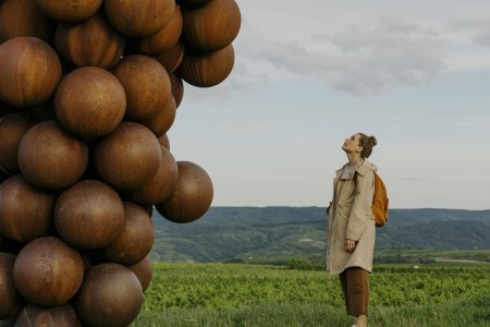 WeinWeg Langenlois, &copy; Nieder&ouml;sterreich Werbung/Julius Hirtzberger
